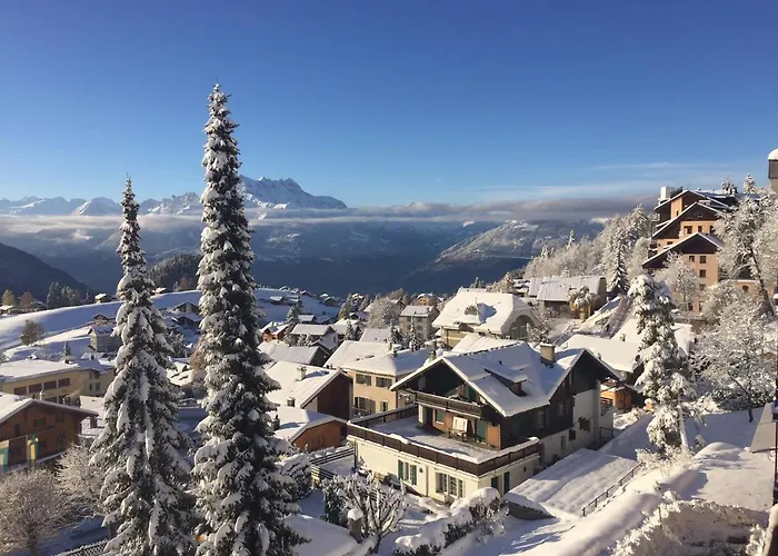 Appartement Perle De Leysin