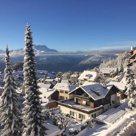 Lejlighed Perle De Leysin